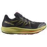 Salomon Pulsar Trail GTX l416081