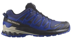 Salomon XA Pro 3D V9 GTX L472703