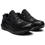 Asics Gel-Trabuco 10 GTX Women&#039;s 1012b175_001
