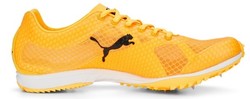 Puma Evospeed Haraka Sun 377007_01