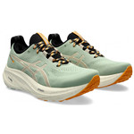 asics_gel-nimbus_26_tr_1011b849-250